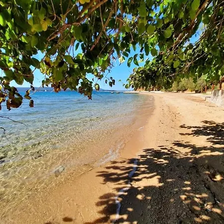 アパート House Brane ビオグラード・ナ・モル