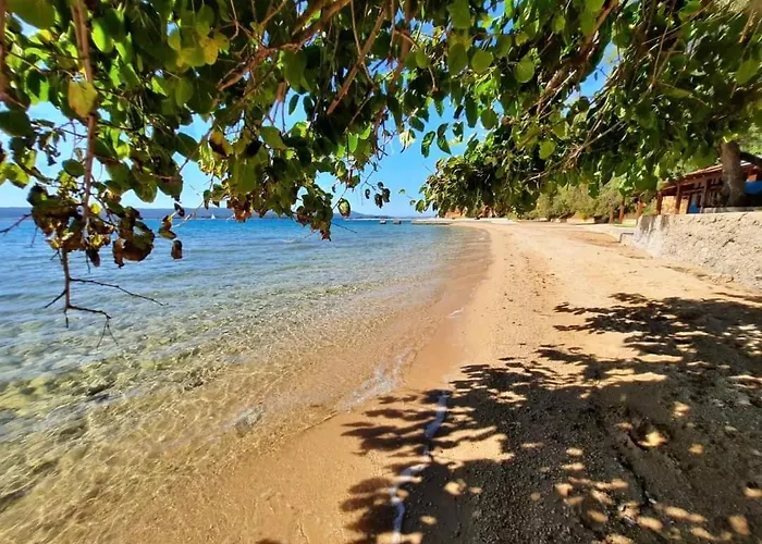 アパート House Brane ビオグラード・ナ・モル